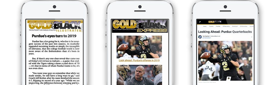 Gold and Black Express
